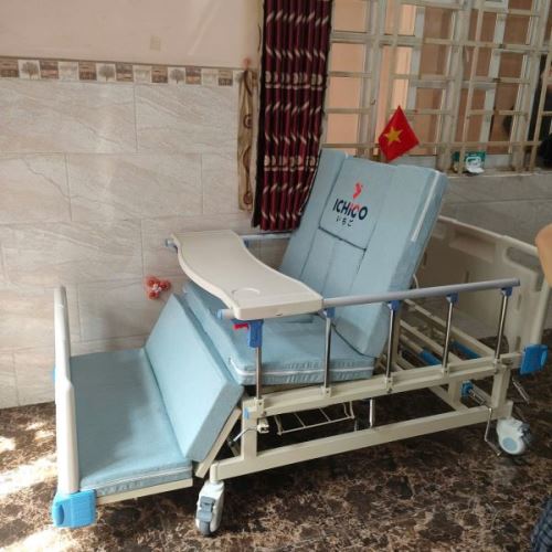 Giường Bệnh ICHIGO HB-04 Đa Chức Năng